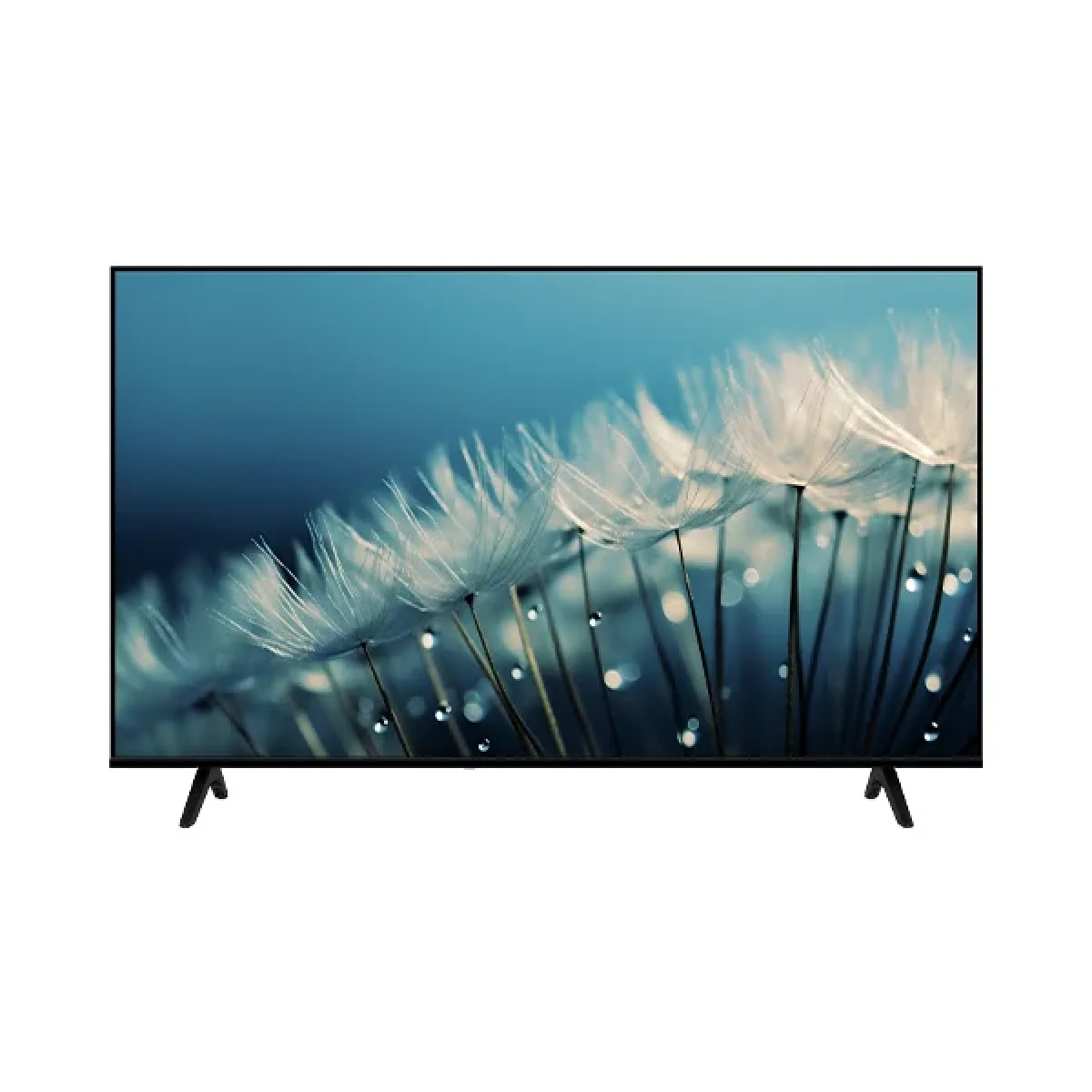 TELEVISEUR ENDURO 55″ SMART GOOGLE TV  NW55Q1000GTV