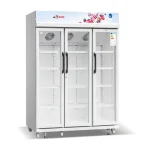 REFRIGERATEUR ASTECH VITRINE 3PORTES 1600LITRES FV1600TD-GR