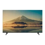 TELEVISEUR ENDURO 65″ SMART GOOGLE TV NW65Q1200GTV